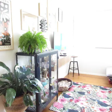 Sosic Apartment